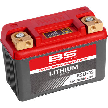BS Lithium Max LiFePO4 BSLi-03 Battery